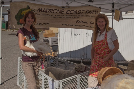 Madrone Coast Farm at Boulder Creek's 1st Farmers Market